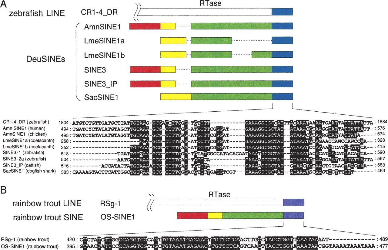 864fig4