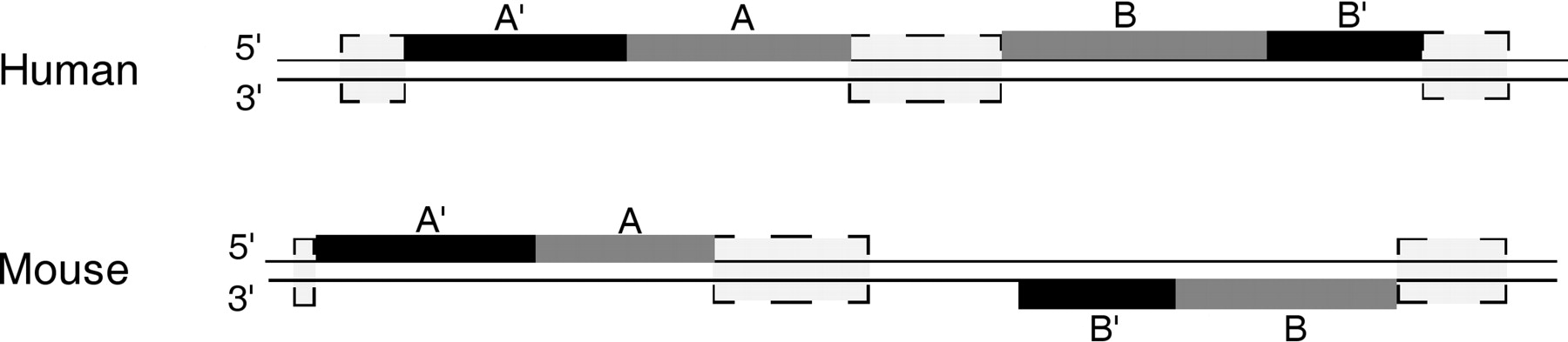 885fig1