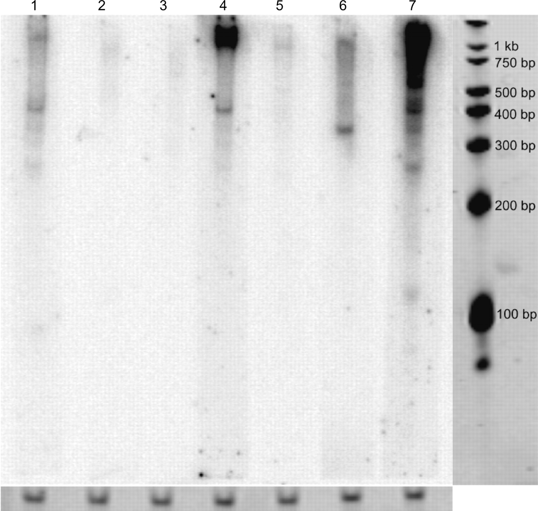 885fig3