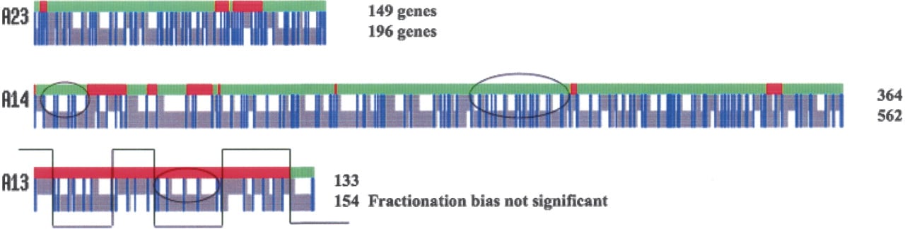 934fig3