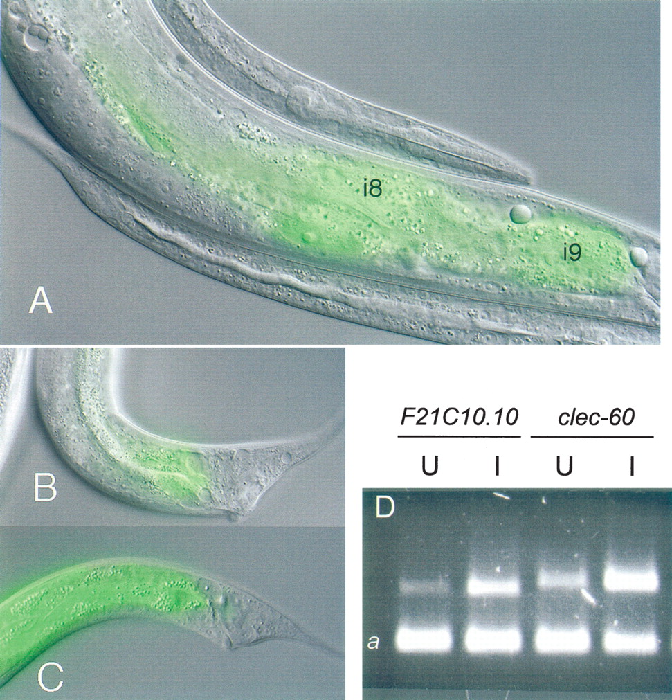 1005fig2