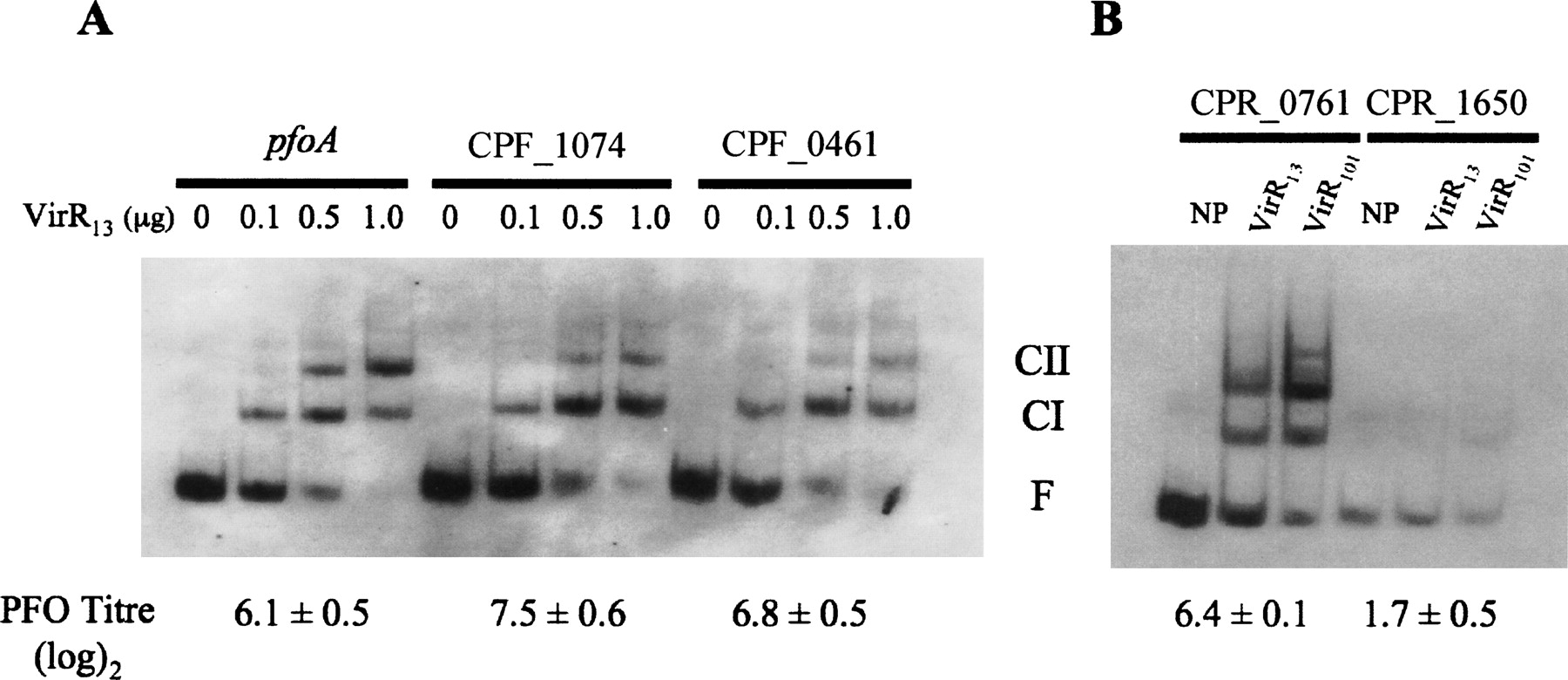 1031fig3