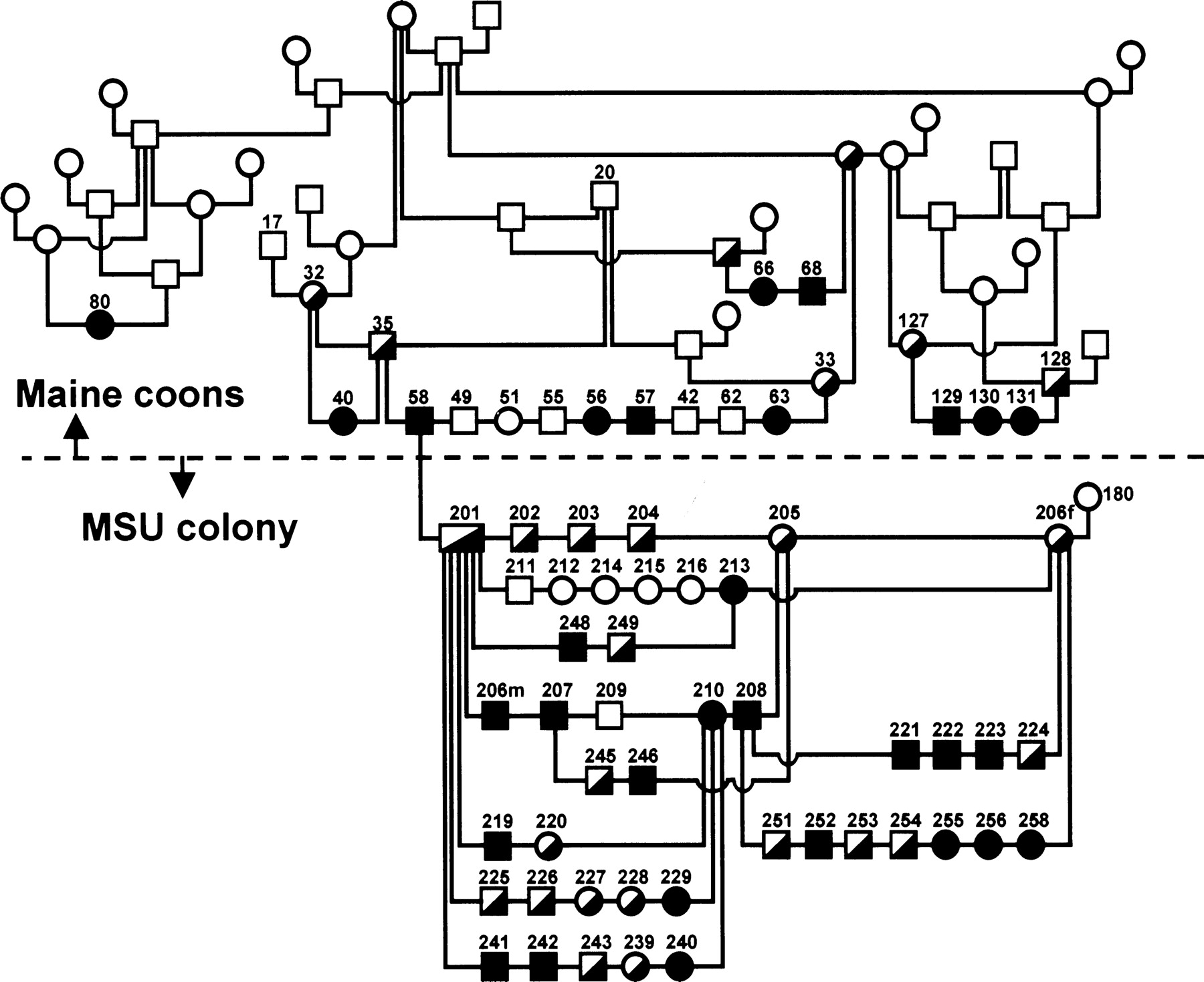 1084fig1