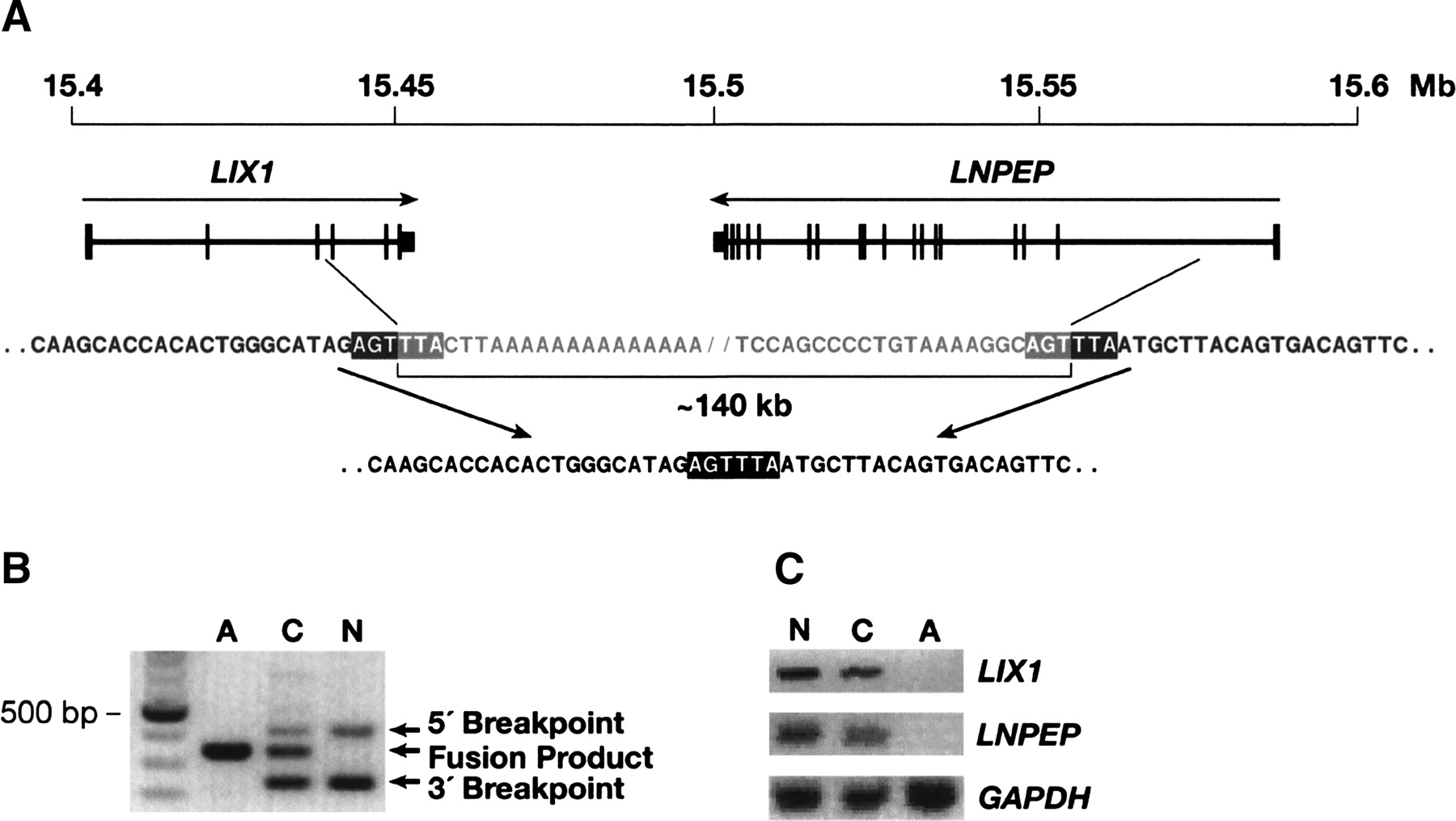 1084fig2