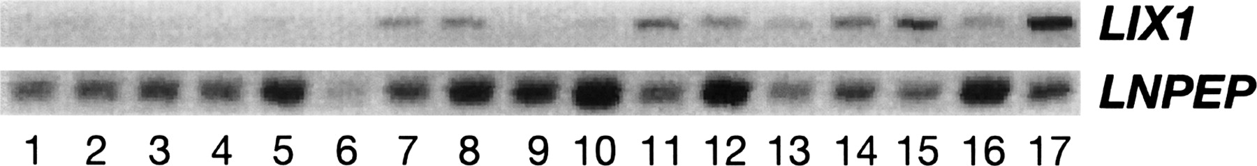 1084fig3