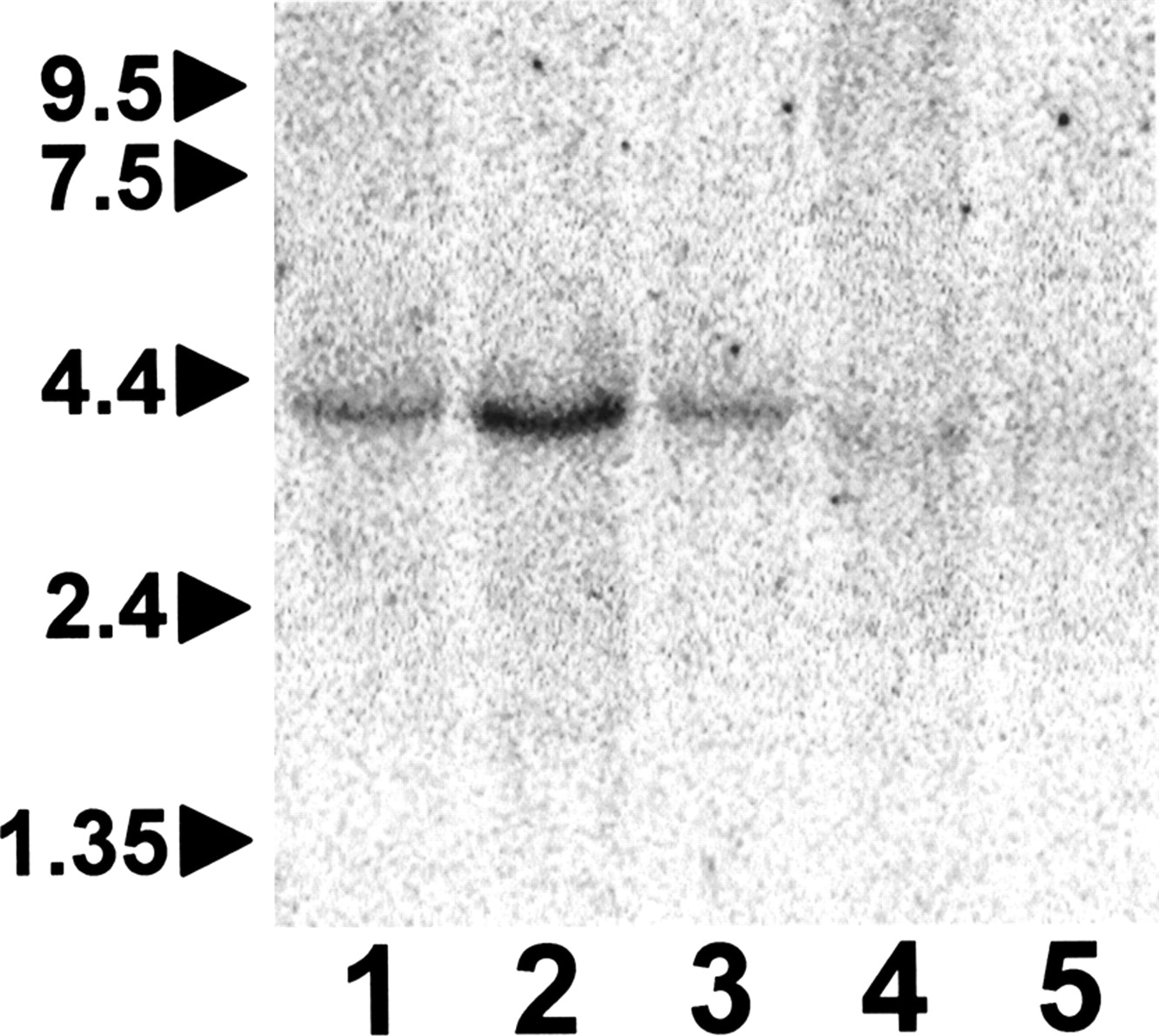 1084fig4