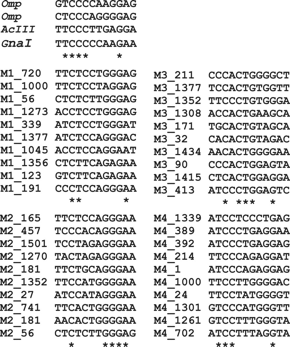 1091fig3
