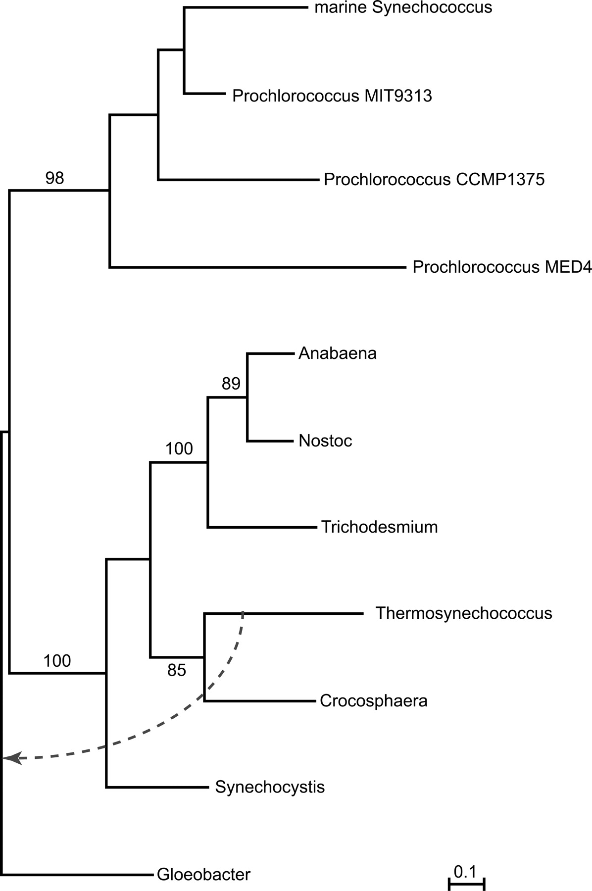 1099fig4