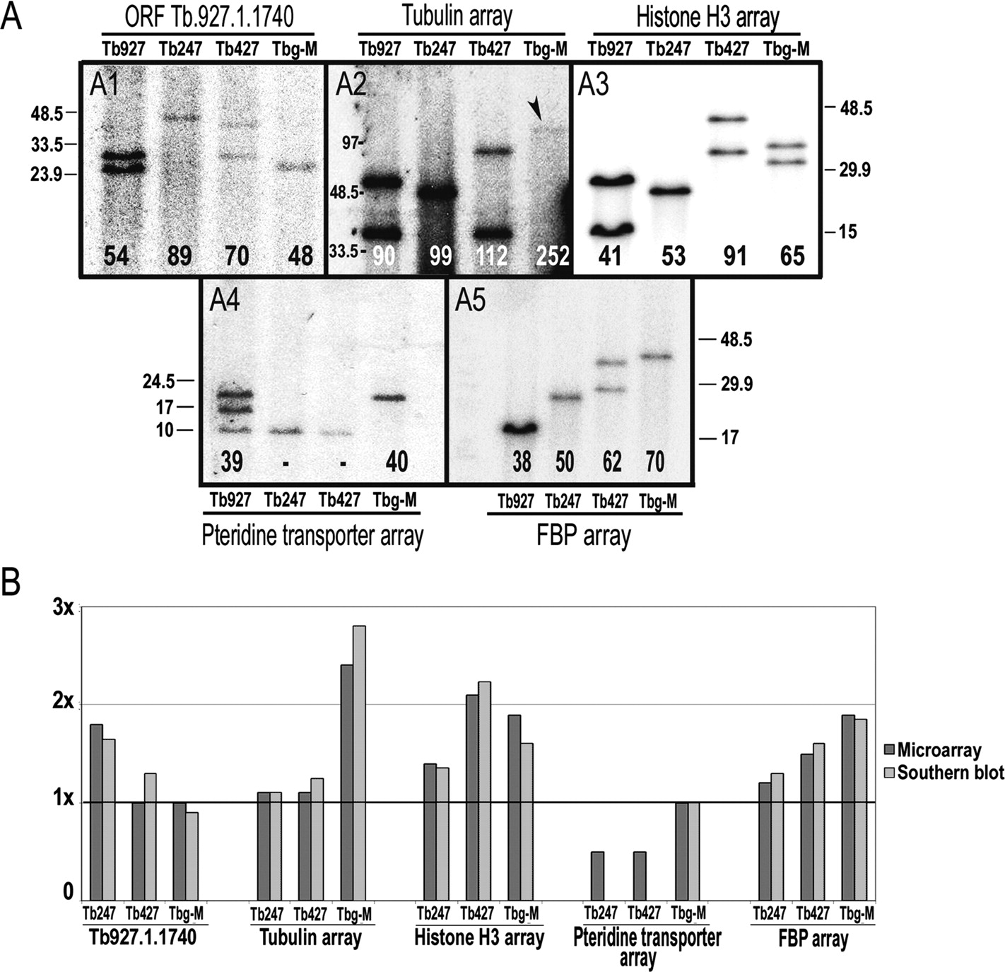 1109fig2
