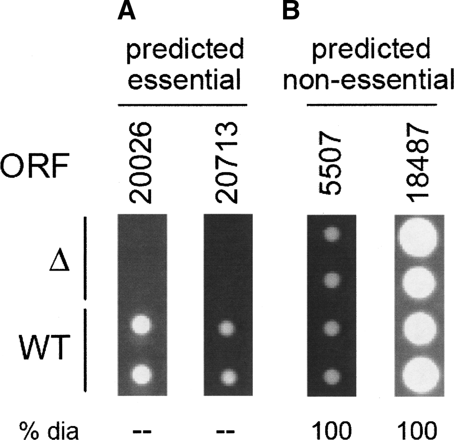 1126fig3