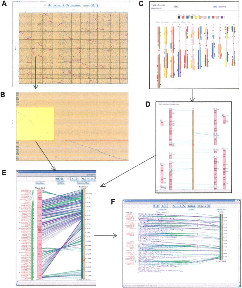 1159fig4
