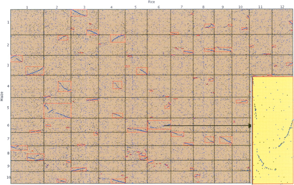 1159fig5