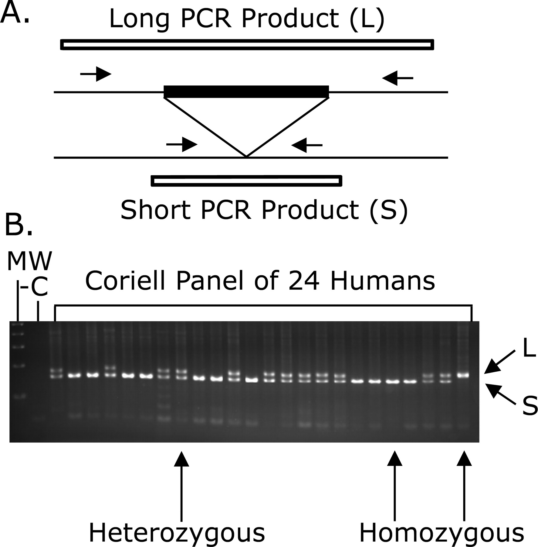 1182fig1