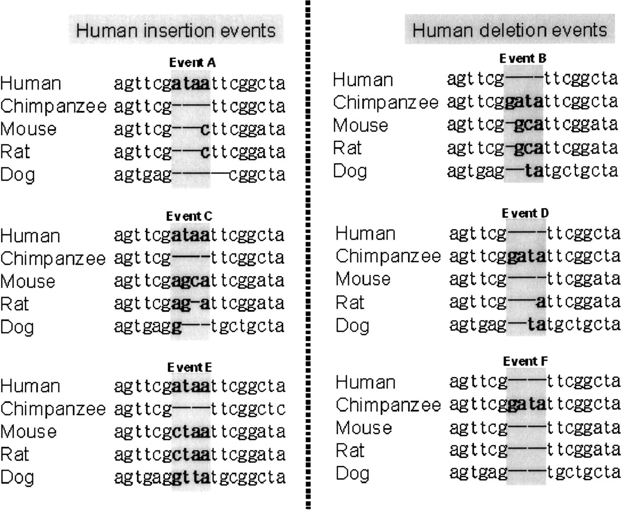 16fig5