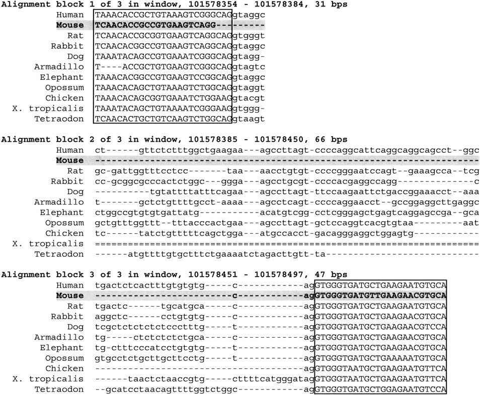 23fig1