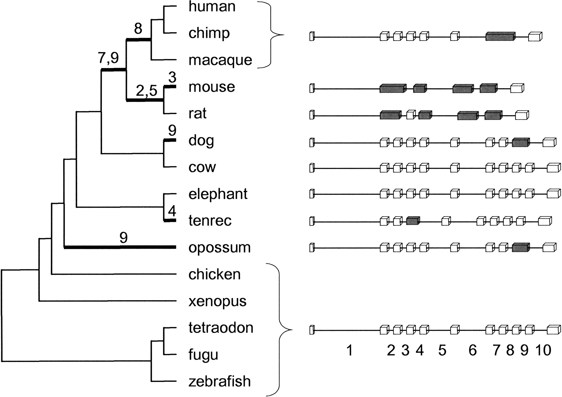 23fig3
