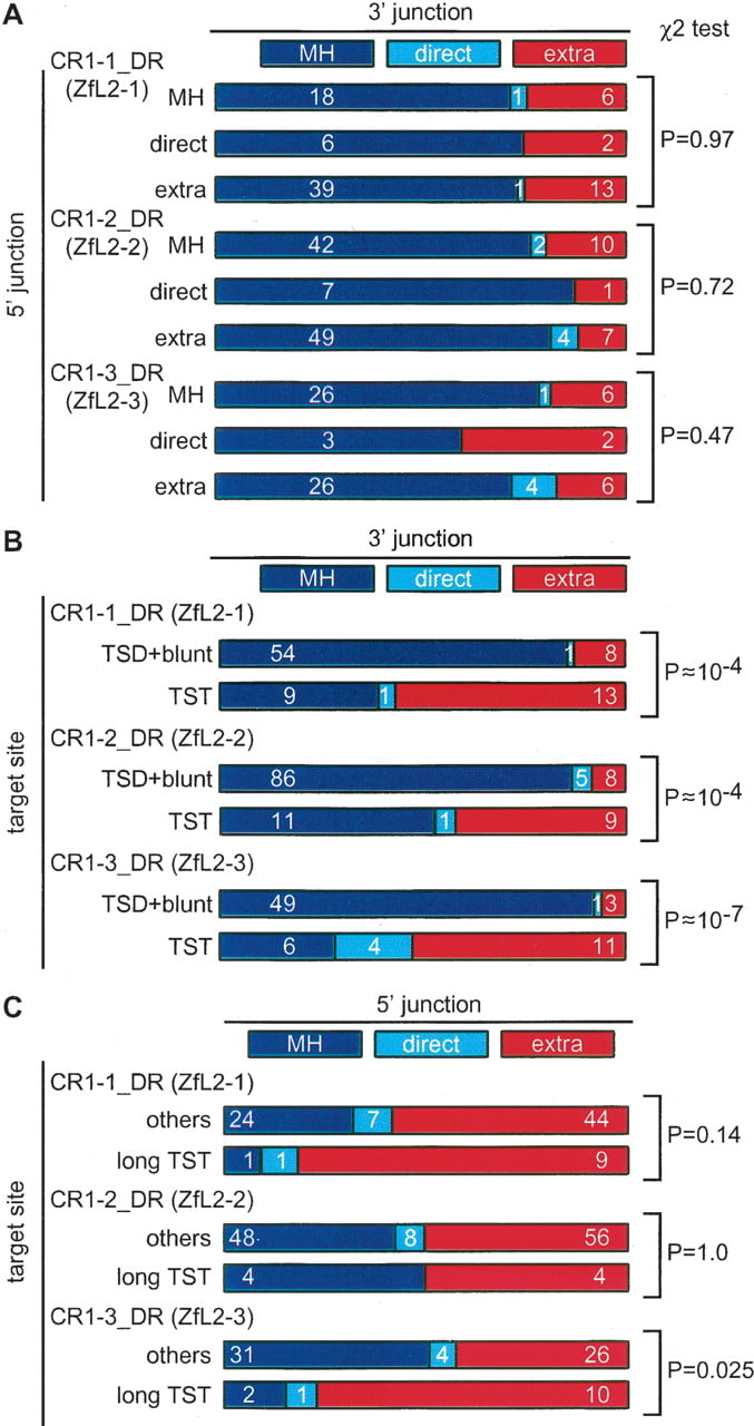 33fig4