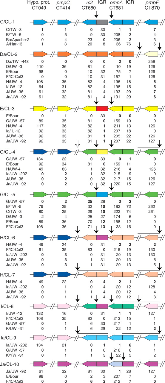 50fig3