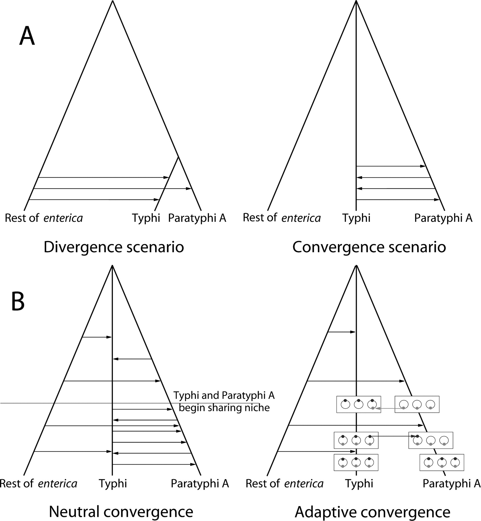 61fig4
