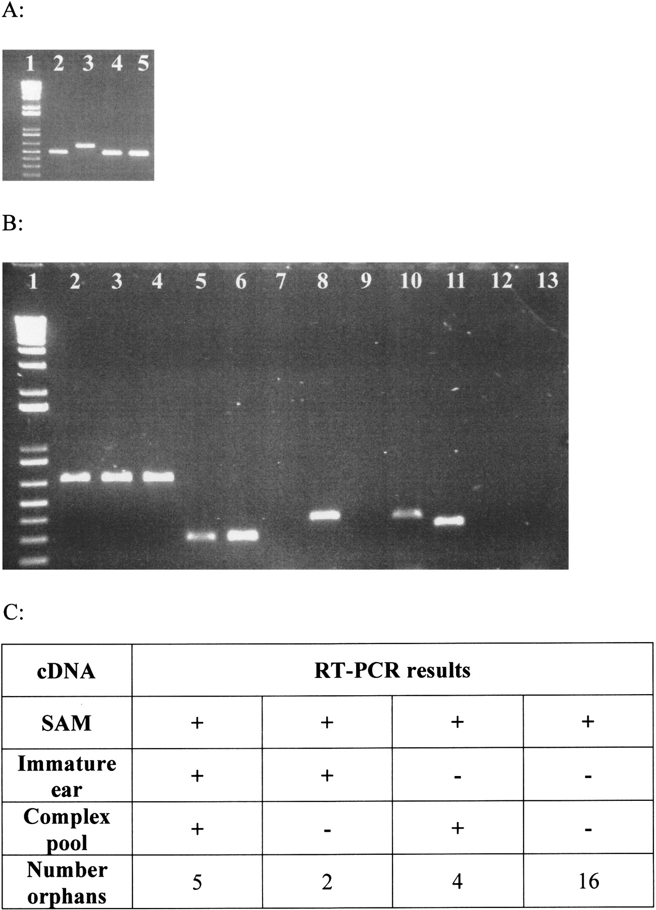 69fig1