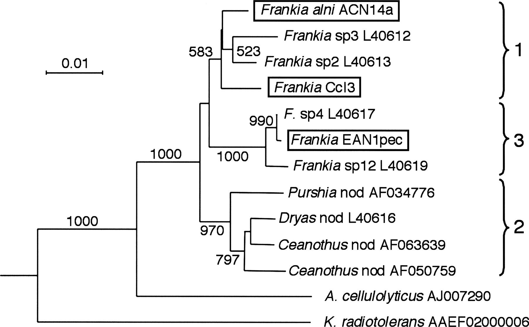 7fig1
