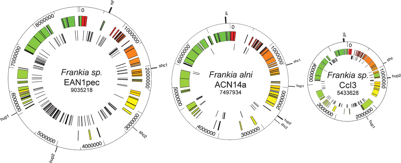 7fig3