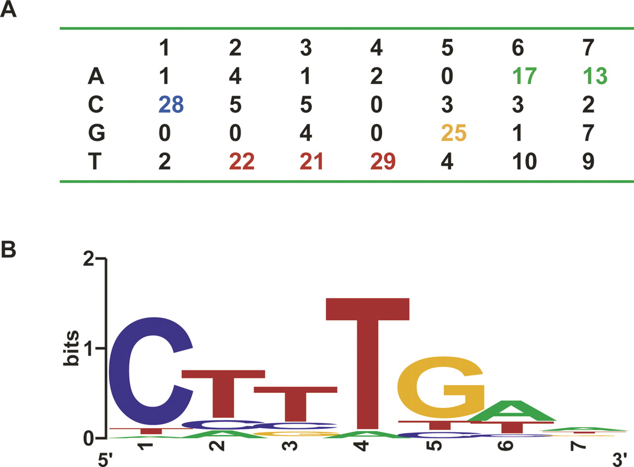 1438fig1