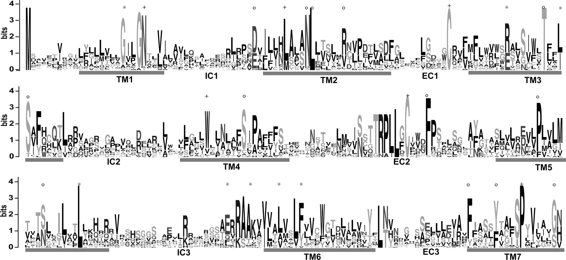 1448fig2