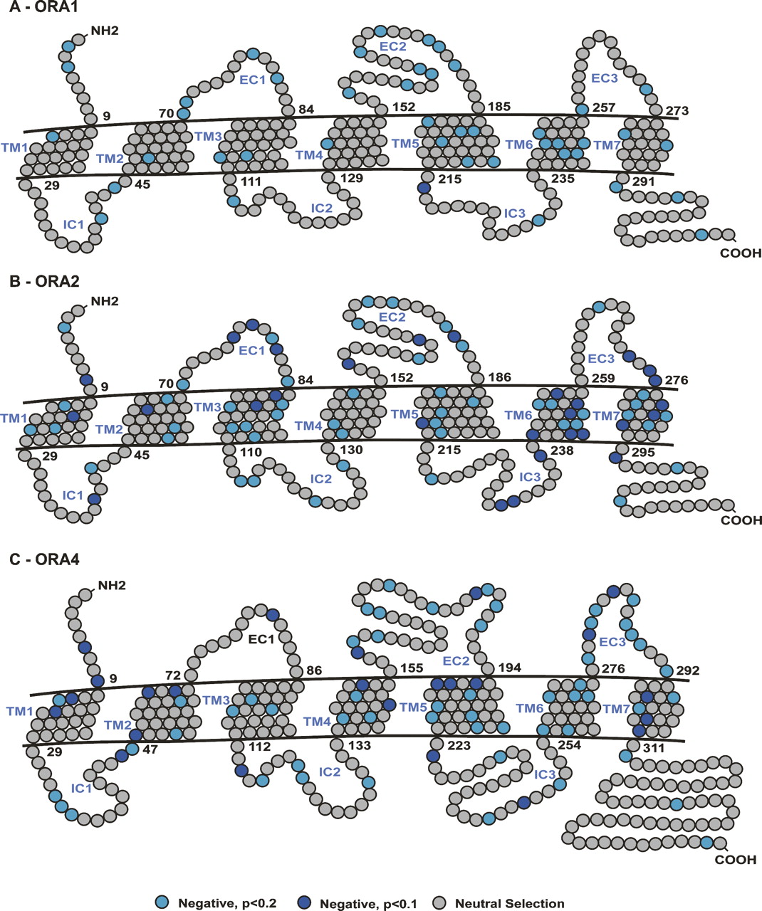 1448fig4