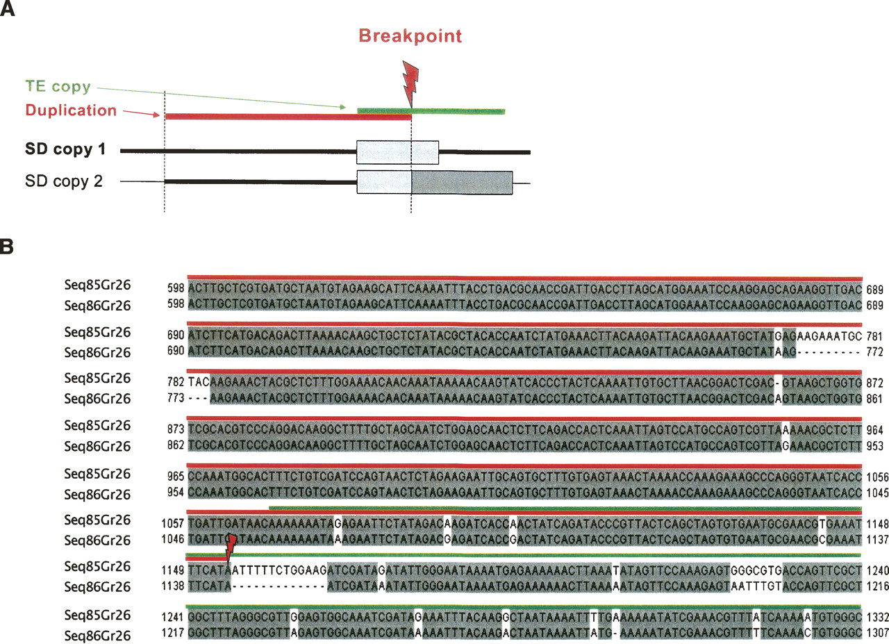 1458fig4