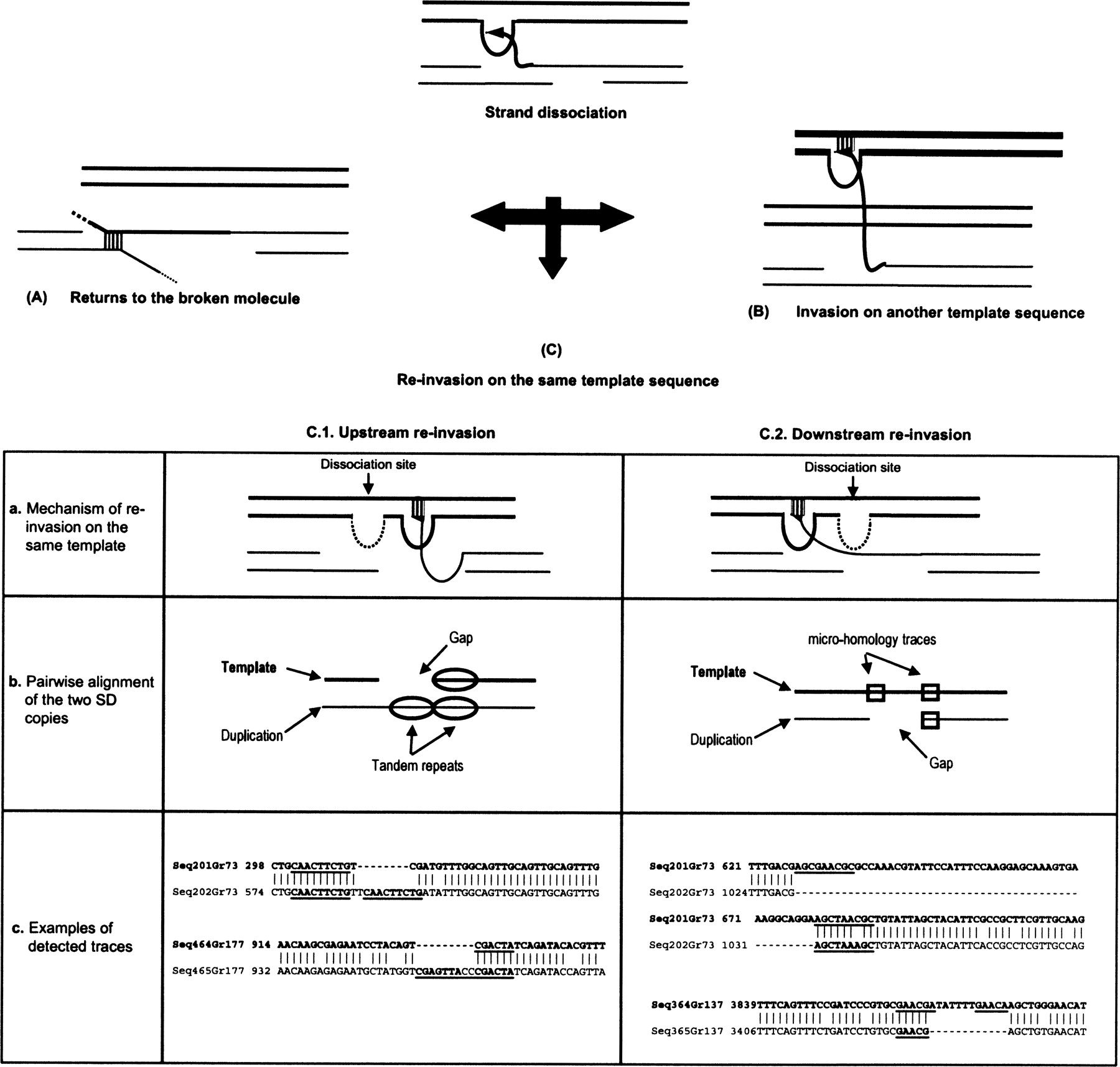 1458fig6