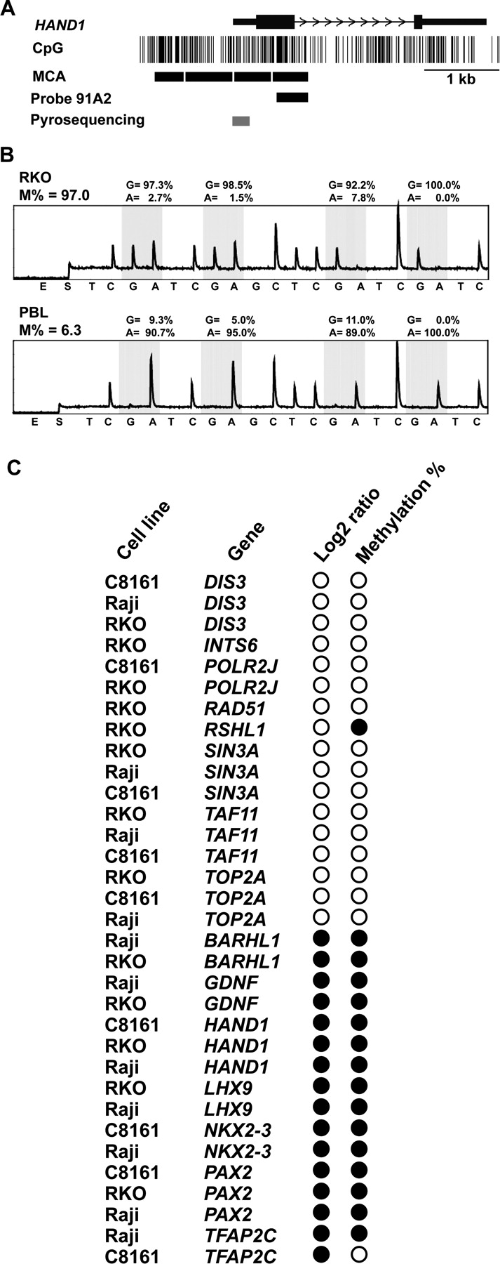 1529fig3