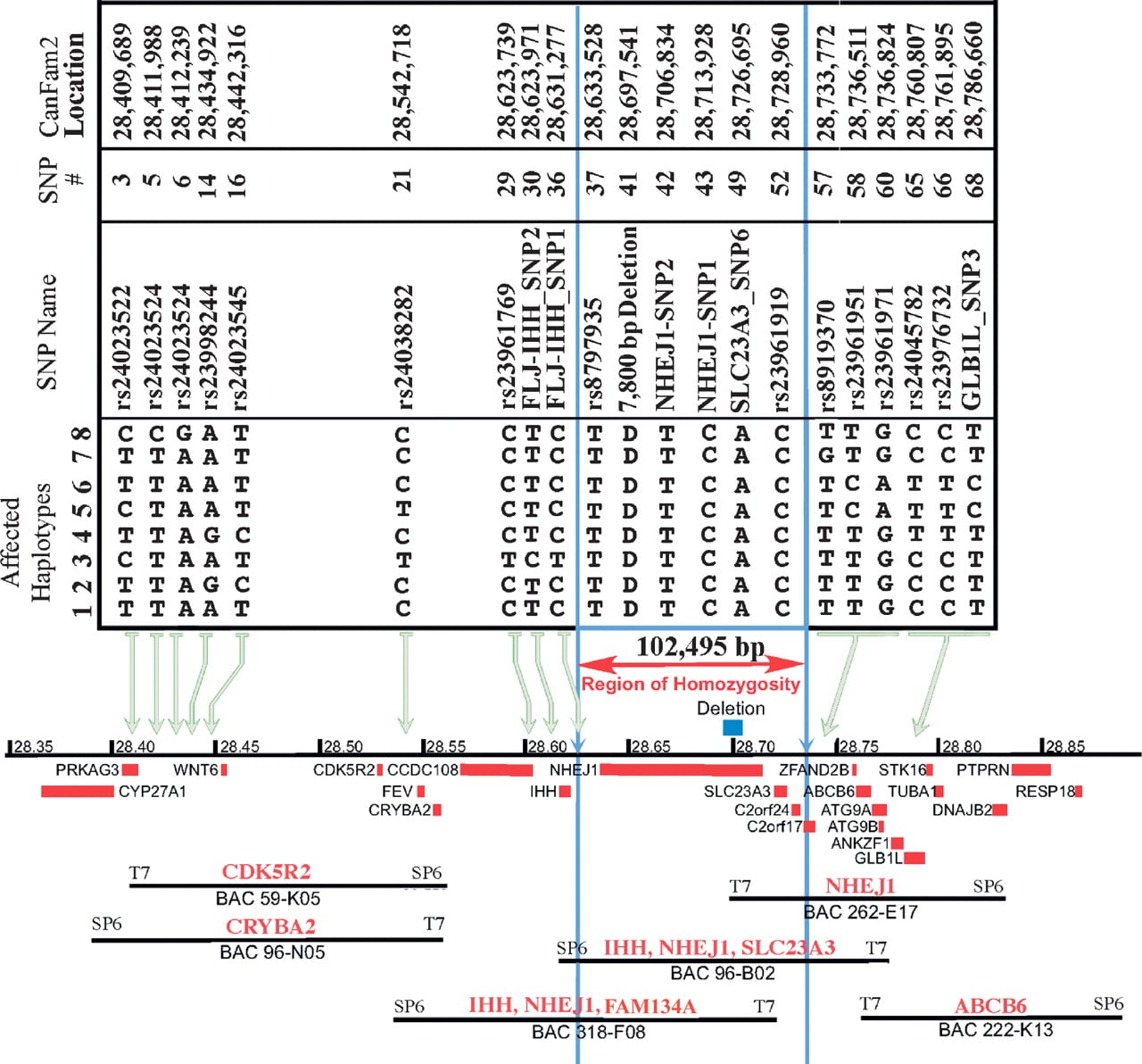 1562fig2