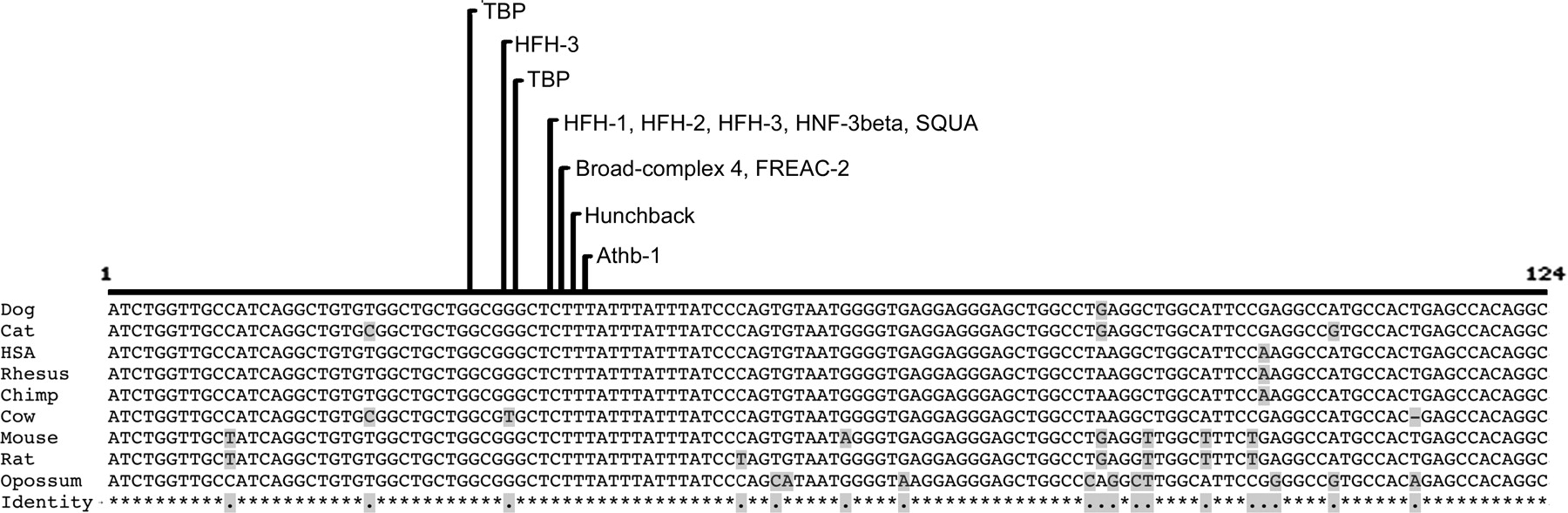1562fig4