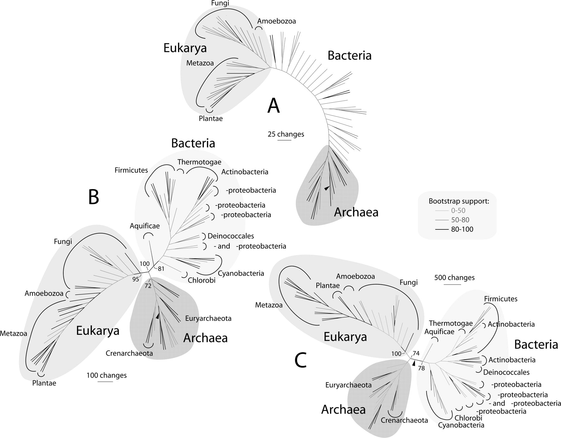 1572fig4