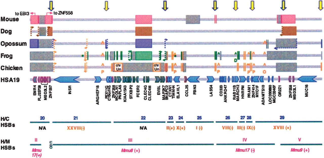 1603fig3