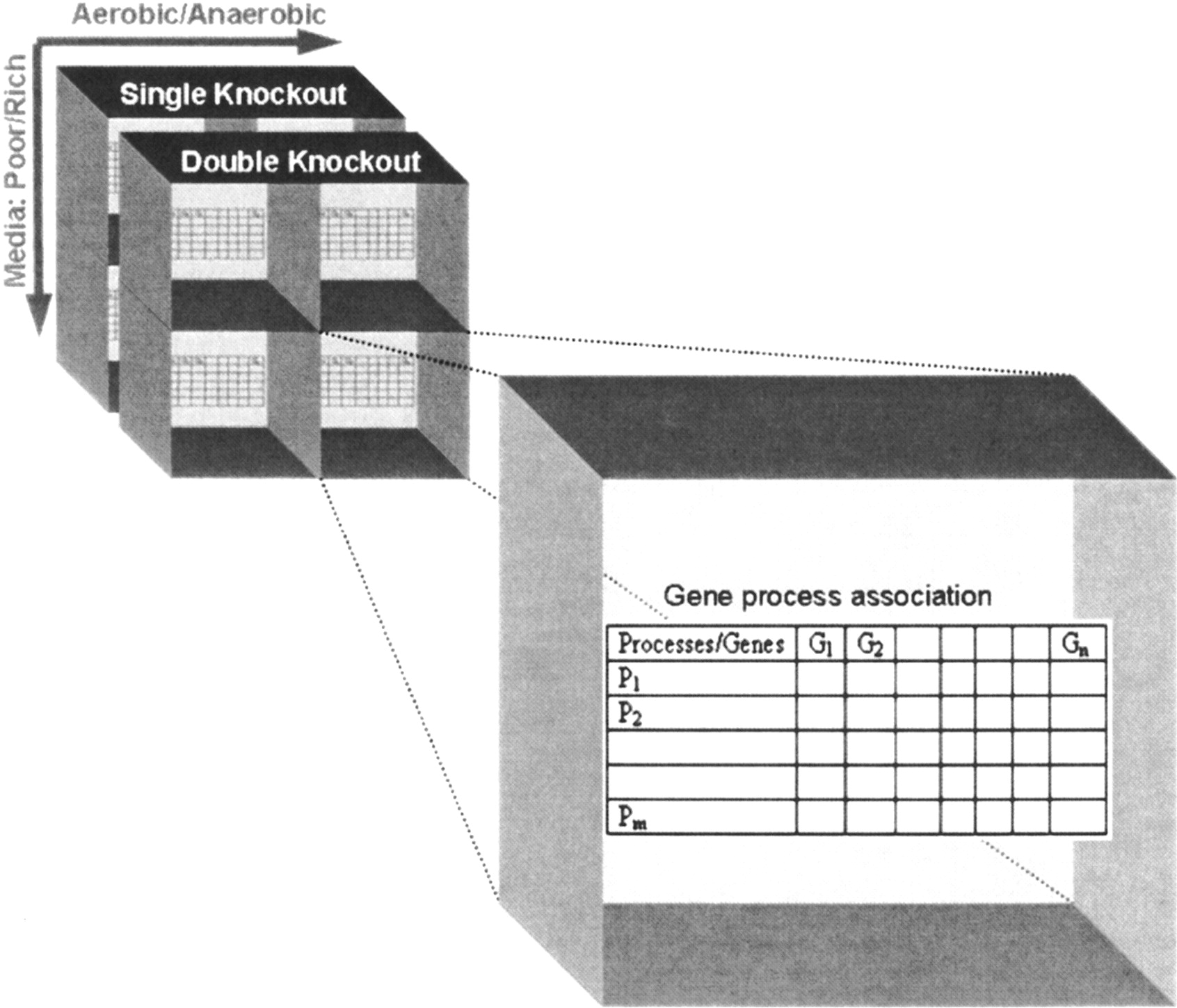1626fig1