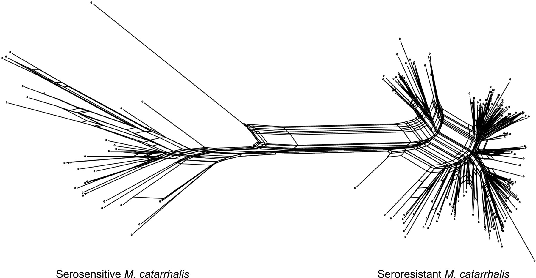 1647fig4