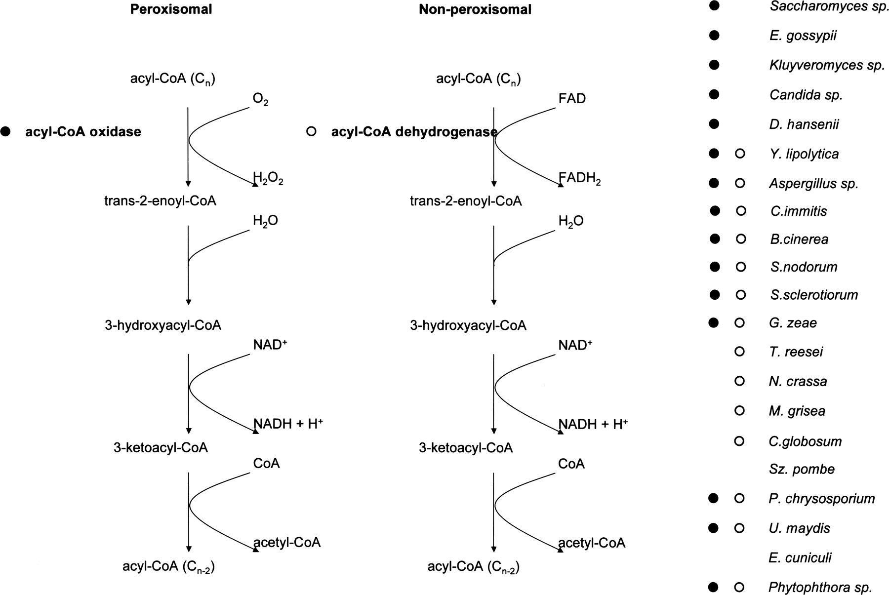 1809fig3