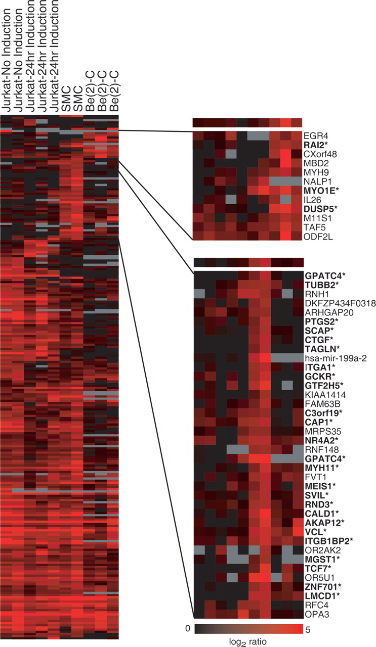 136fig1