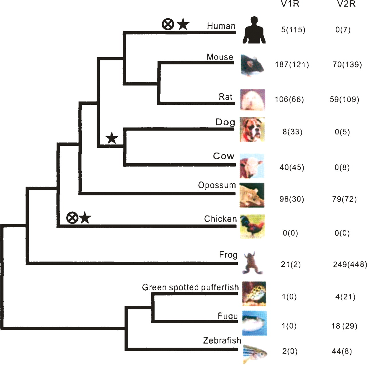 166fig1
