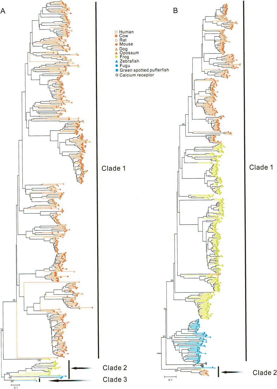166fig2