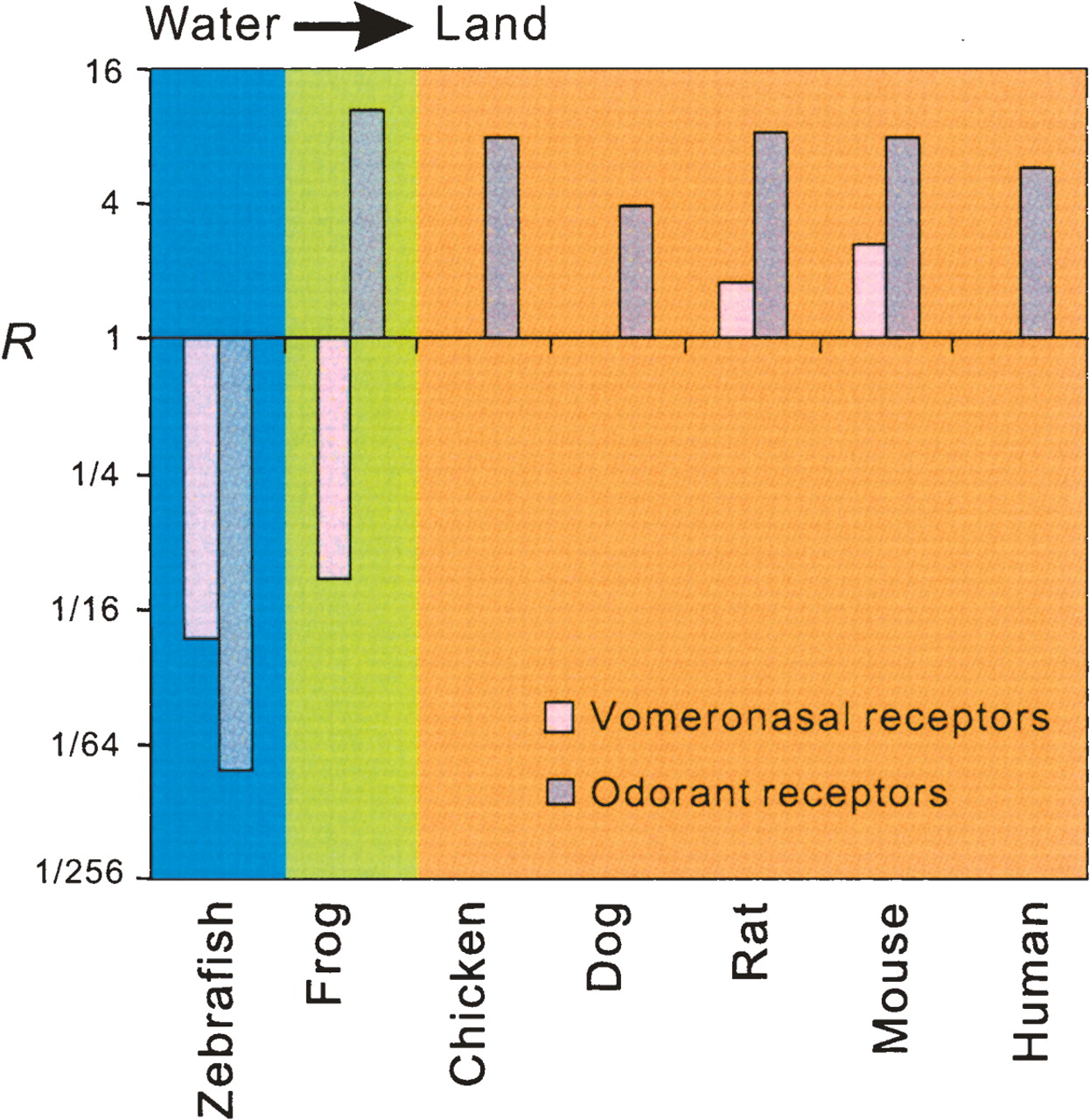 166fig3