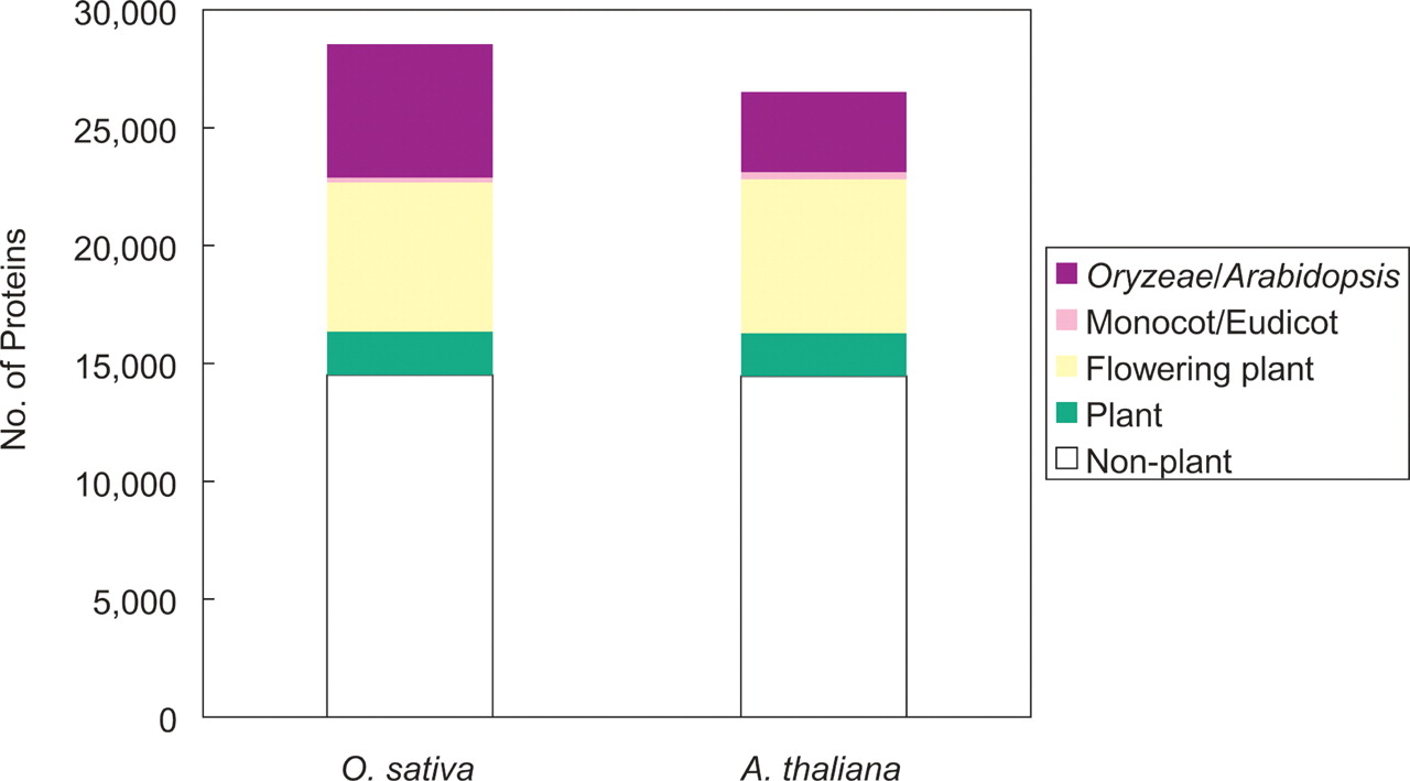 175fig4