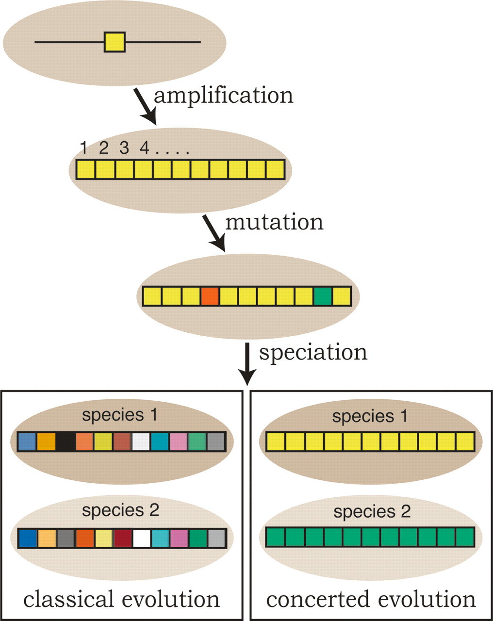 184fig1