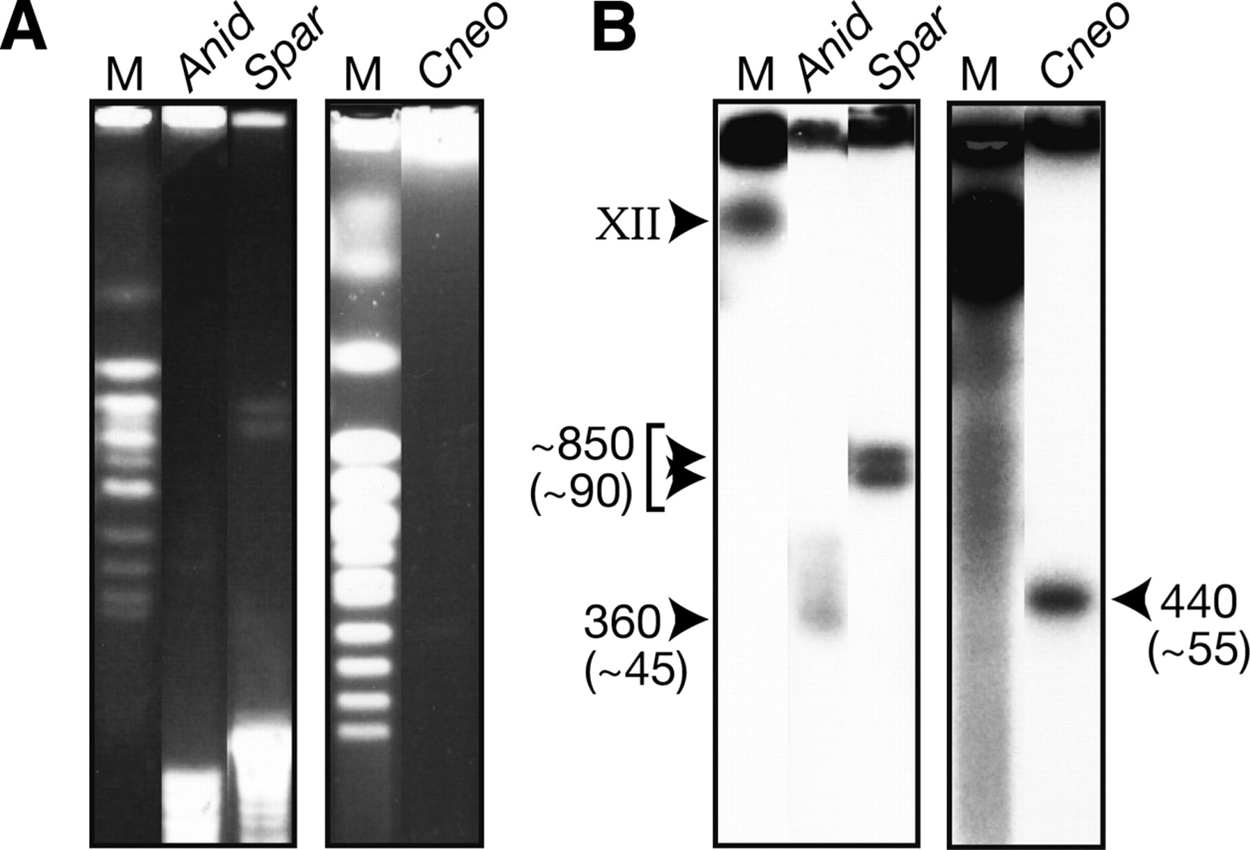 184fig3