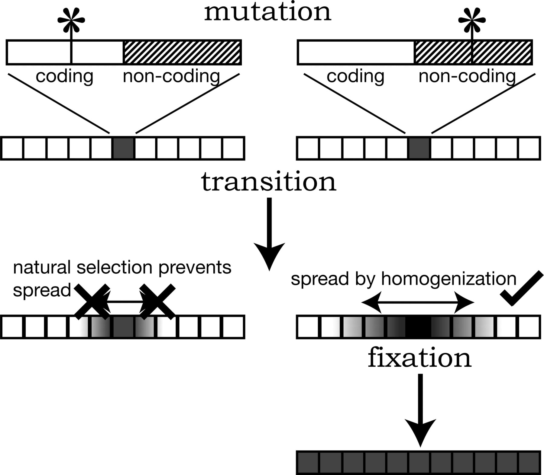 184fig5