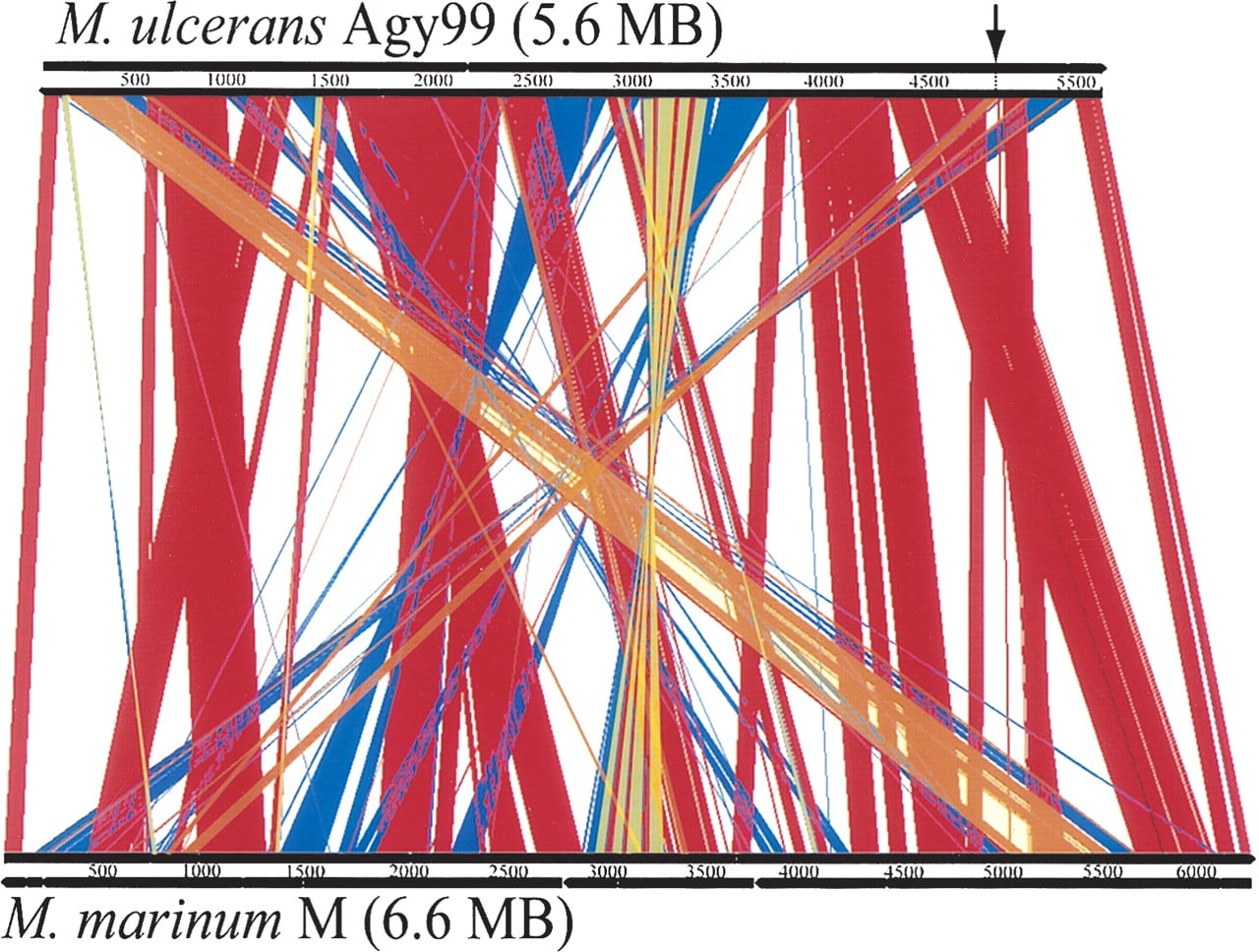 192fig2