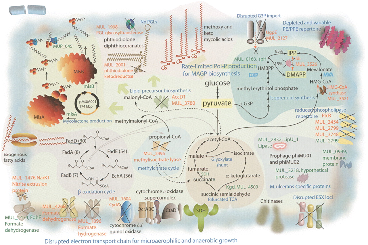 192fig3