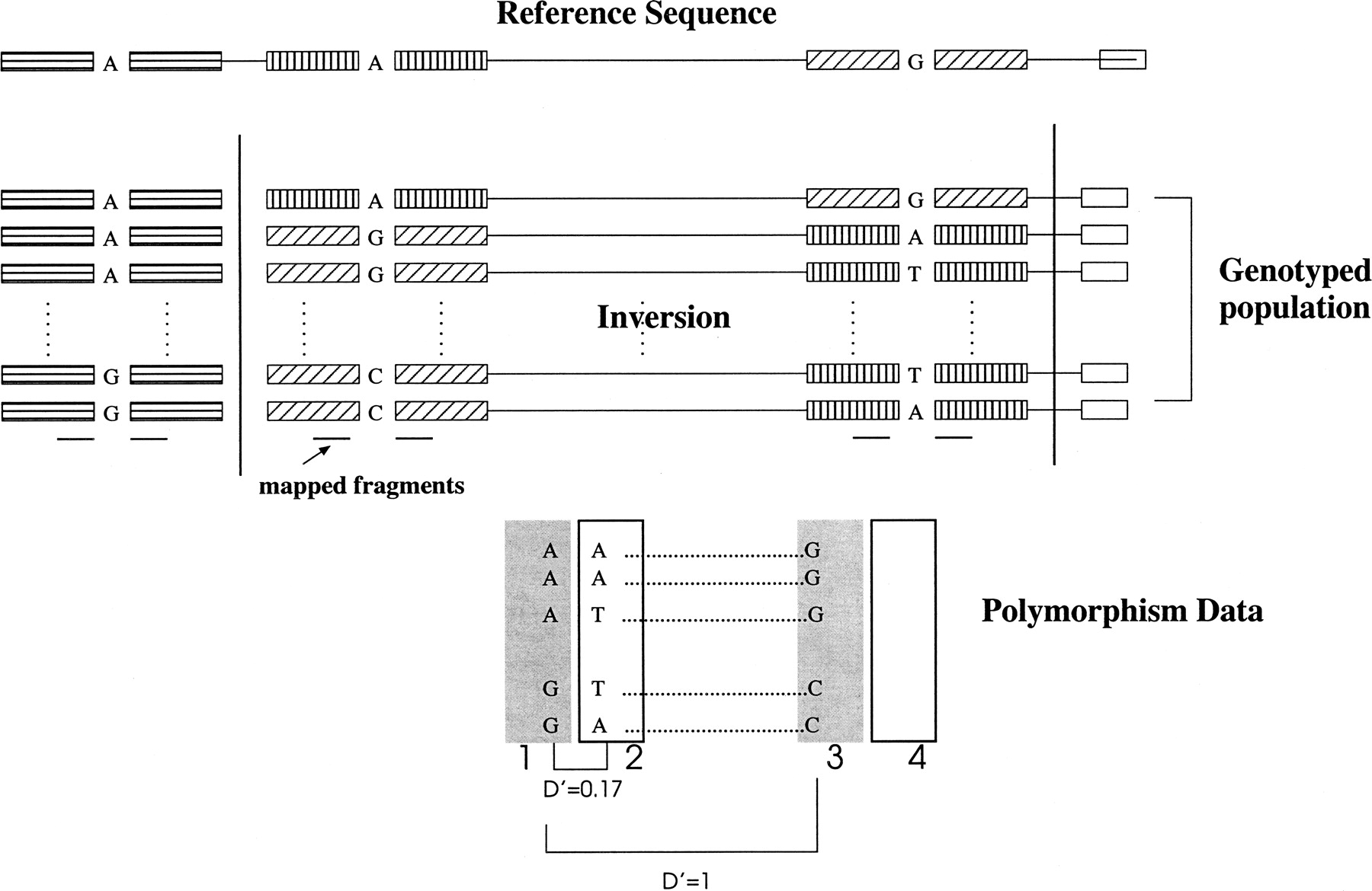 219fig1